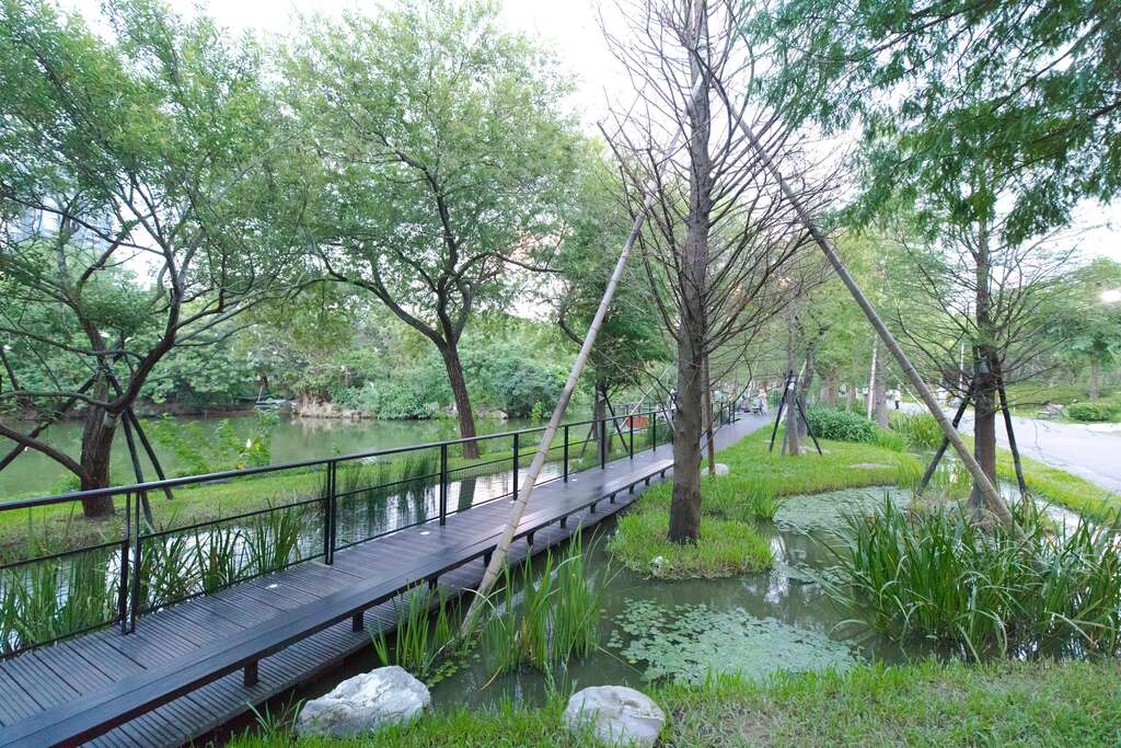 大安森林公園池南水一方-落羽松森林步道水路及生態環境營造