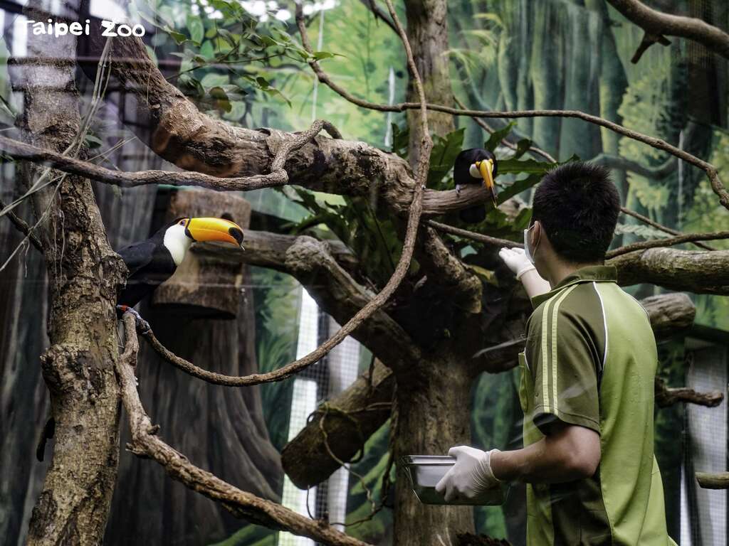 保育员期许再过不久的将来，能和大家分享「歪歪」和「贝贝」的好消息哦！