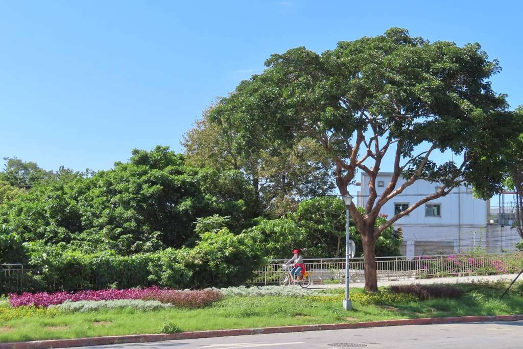 承德路绿带开辟成果
