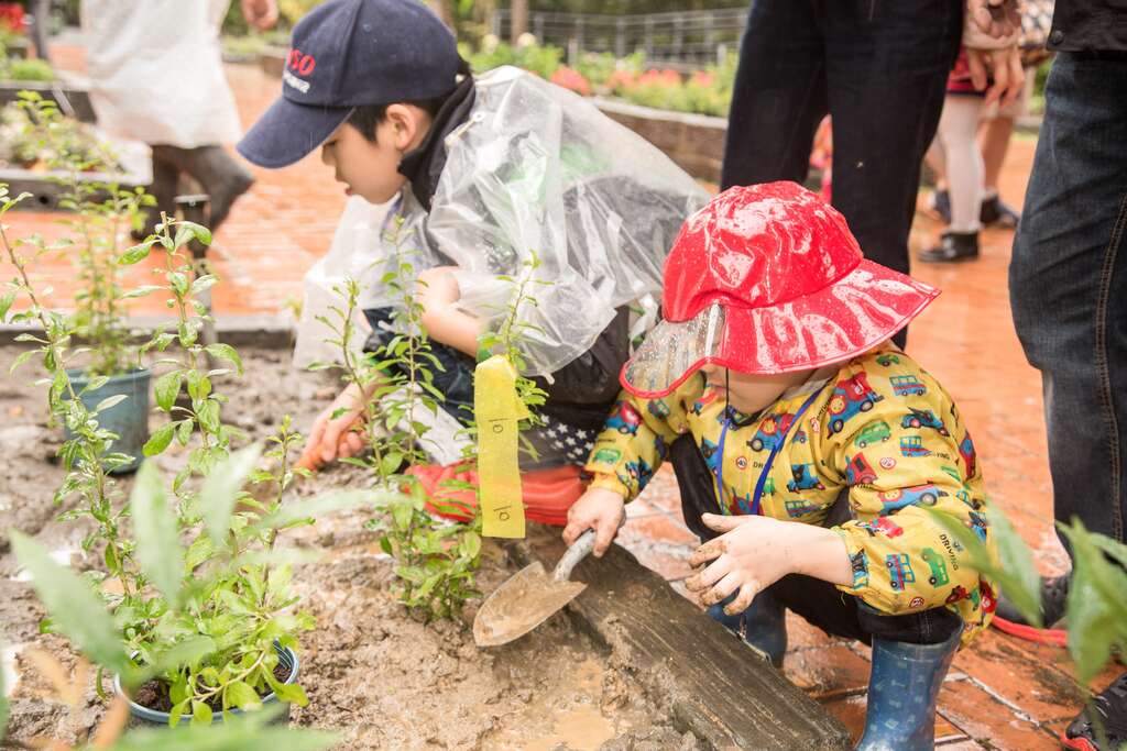 植樹愛地球 種下希望樹苗