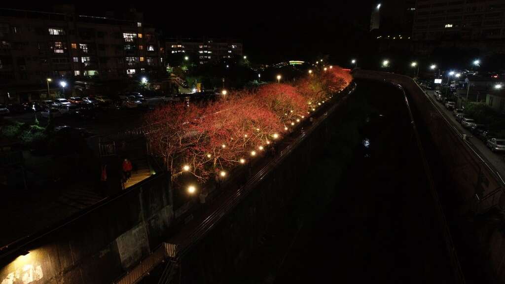 河岸旁的櫻花步道