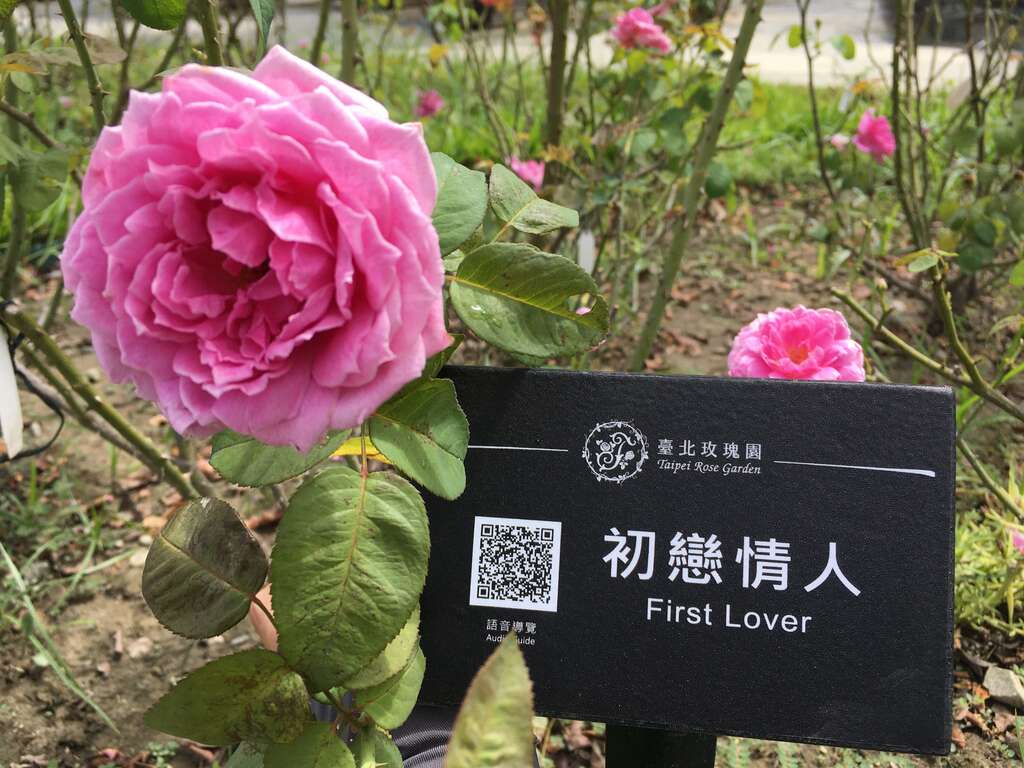 透过扫描插牌上QR码，就能享有行动导览的便利服务。