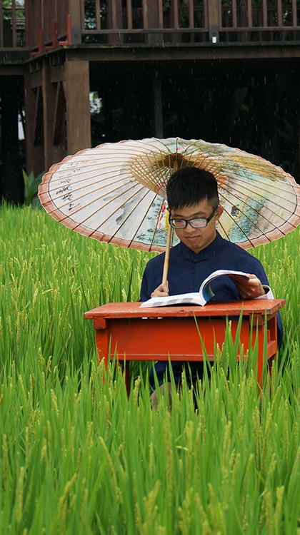 稻田上的书桌能伴随稻作生长学习