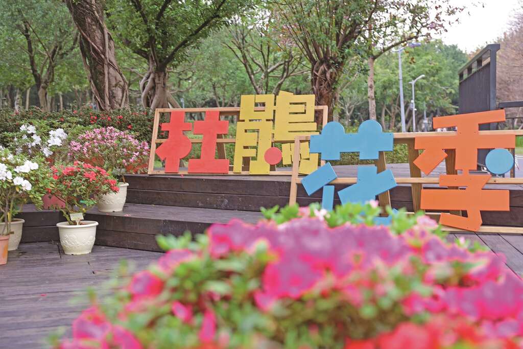 杜鵑花季