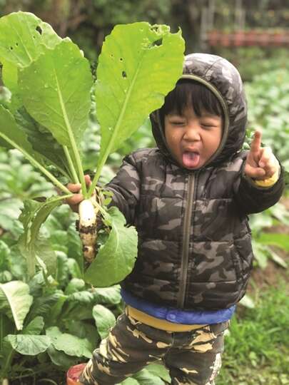 10八仙六代2 (Copy)
