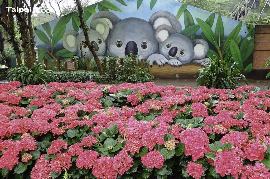 台北市立動物園 見逃せない撮影スポット