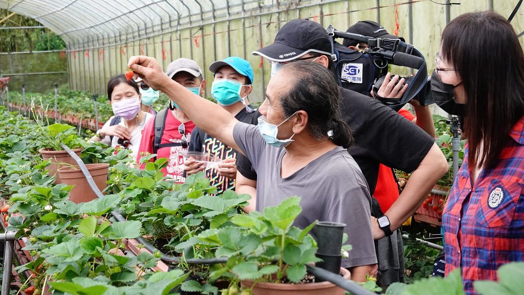 台北大纵走第四段中有着着名的白石湖休闲农业区，可在走完步道後安排采草莓鲜果及DIY体验，度过一个幸福的周末。
