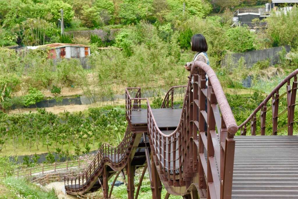 Explore Shilin’s Past: A Trip Along the Century-old Shuizhen Old Trail