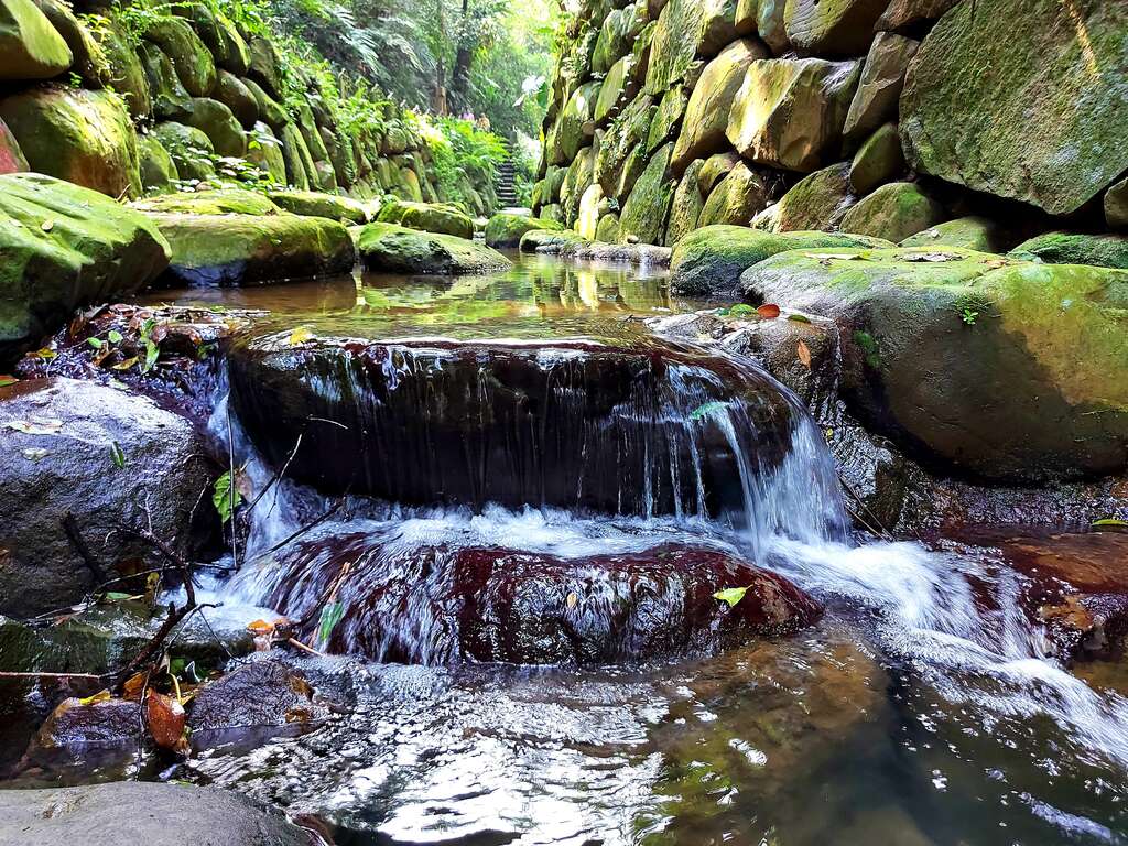 溪水潺涓,阵阵芬多精