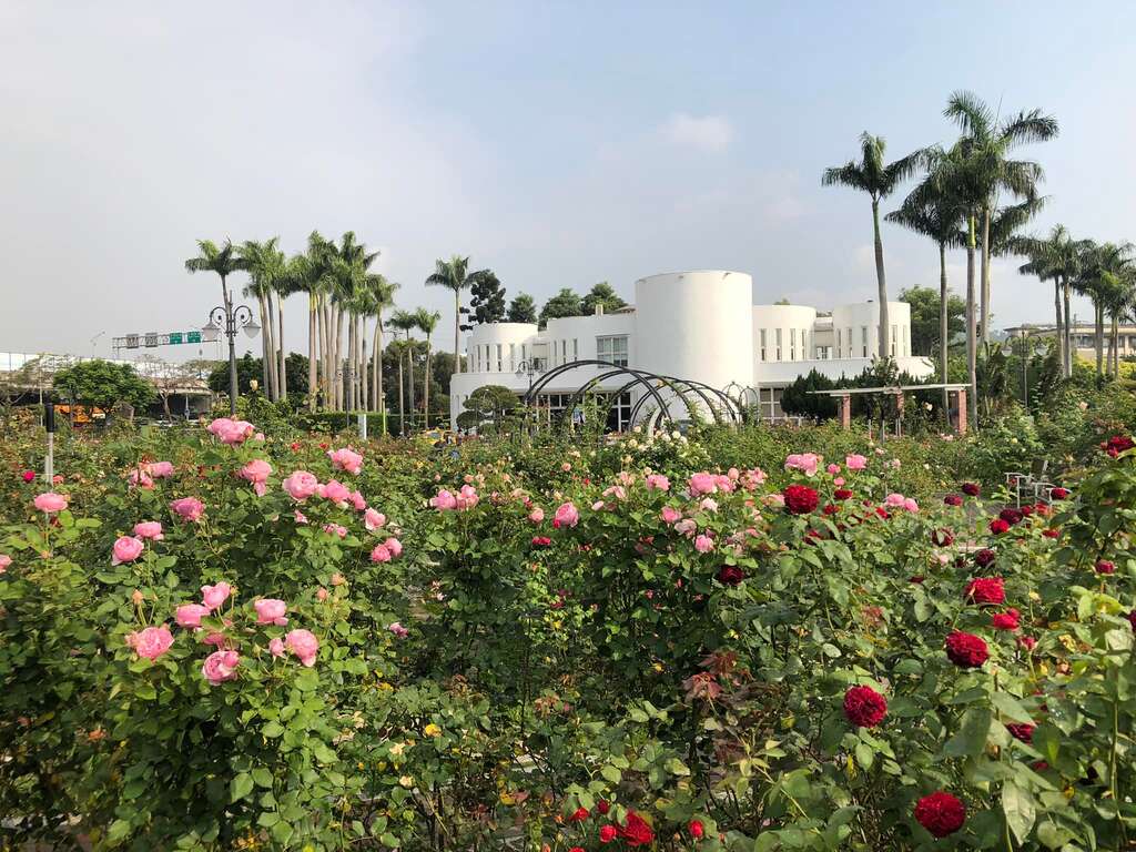 花海下的小白宫。