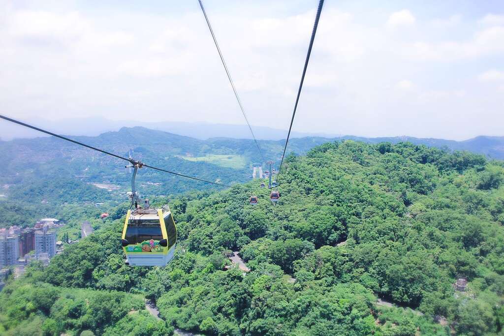 搭乘貓纜，飽覽高空群山風景
