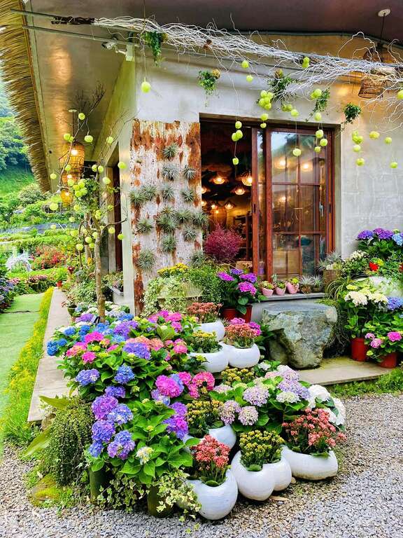 曹家花田香的小屋花墙前是「必拍景点」，屋内还有手作的多款梦幻乾燥花束