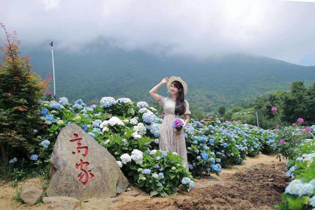 2022 Zhuzihu Hydrangea Festival Kicks-off on May 20