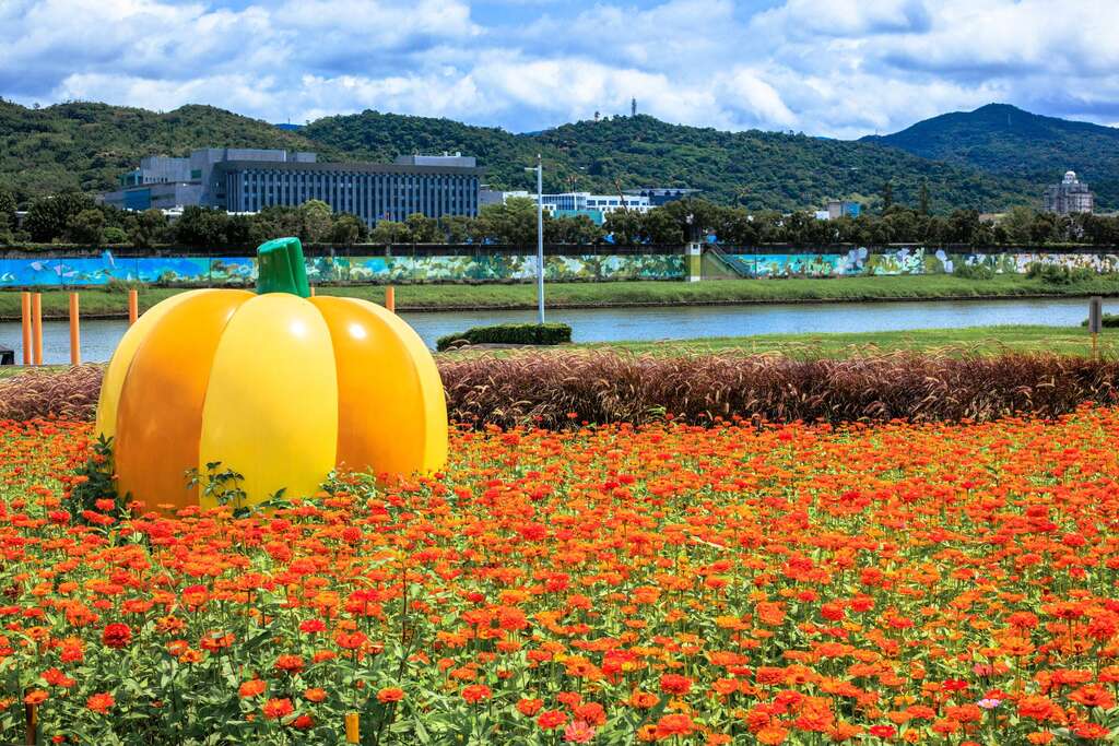 「大佳河浜公園」黄金色の花畑がロマンチック