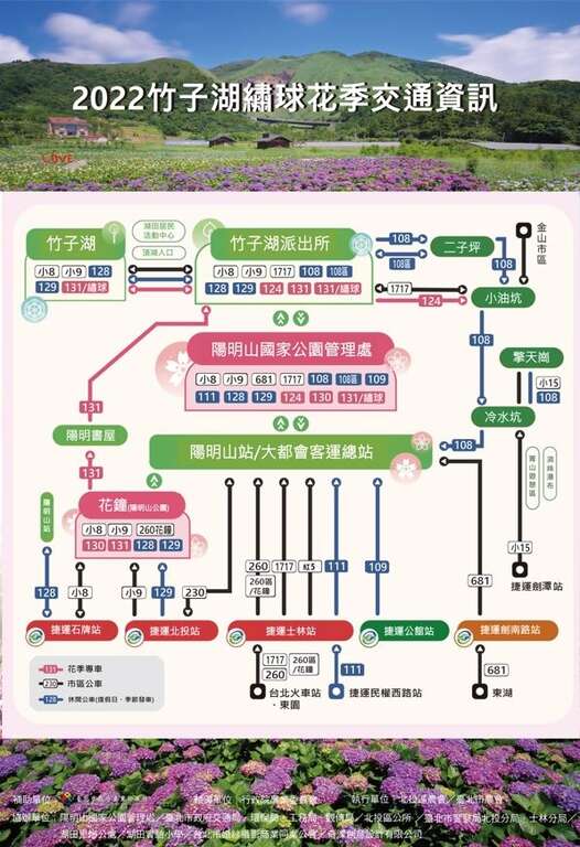 竹子湖でアジサイのお花見!