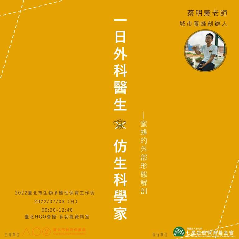 生物多樣性保育工作坊-蜜蜂的外部形態解剖