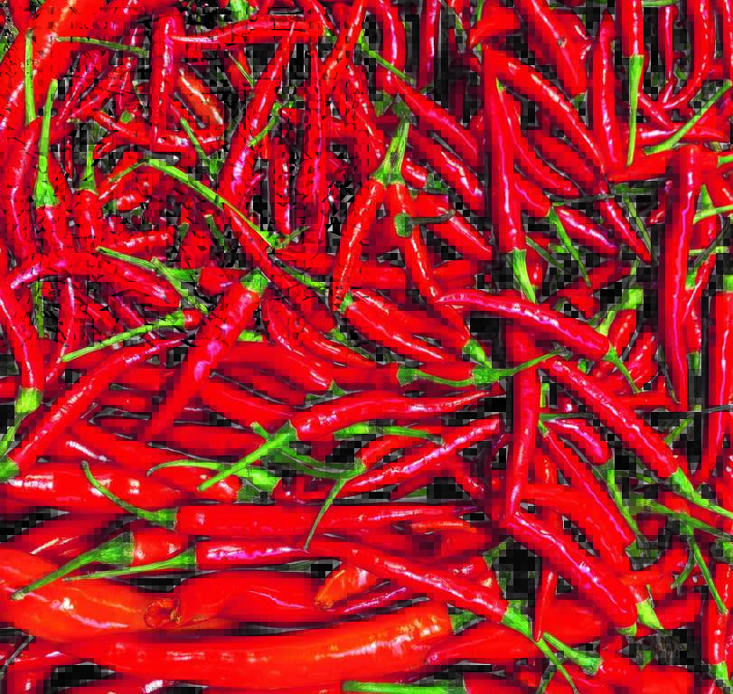Eating spicy food is the most “tasty” way to cool down in the hot summer when the body inevitably perspires. (Photo/Shane Kong)