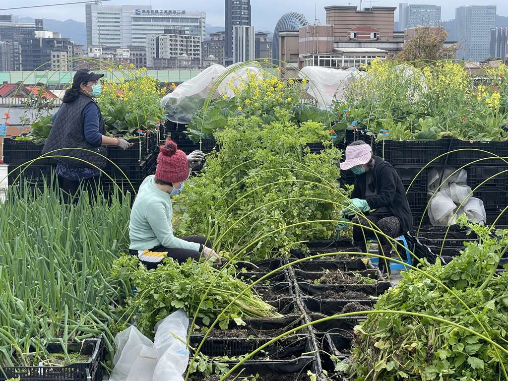 东湖植人培训照片(图片来源：台北市政府产业发展局)