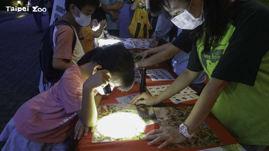 星期六的夜晚來動物園探索野生動物的奧秘(圖片來源：臺北市立動物園)