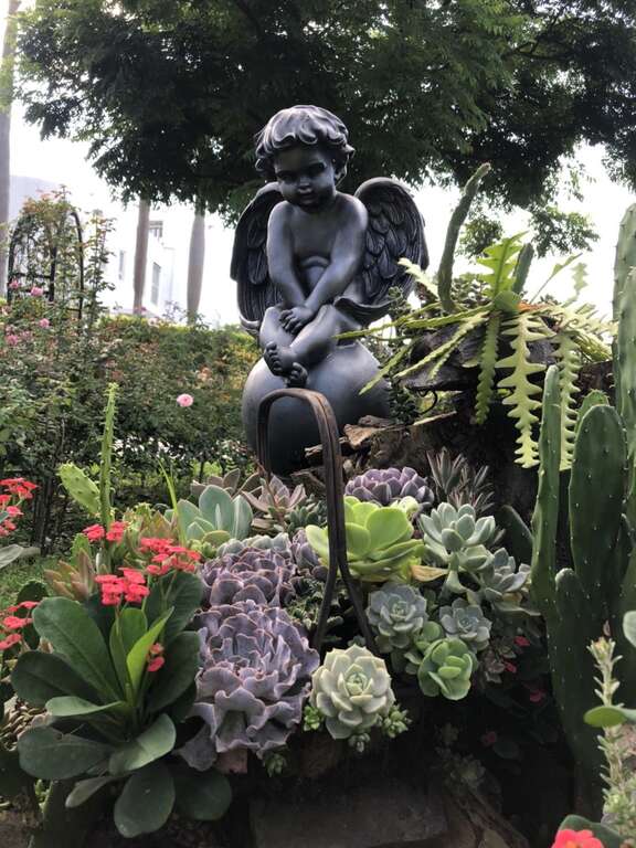 多肉植物融入园区内造景，营造出童话般的意境。(图片来源：台北市政府工务局公园路灯工程管理处)