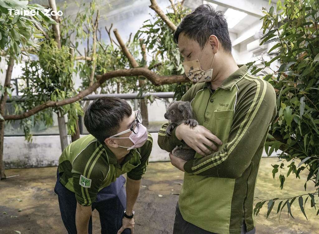 保育員：「Bess」要和大家好好相處哦！(圖片來源：臺北市立動物園)