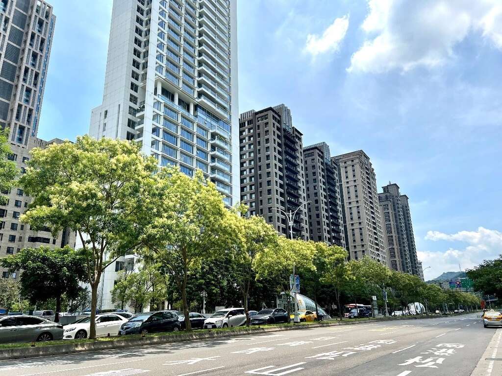 信義路上如披上白雪的光蠟樹(圖片來源：臺北市政府工務局公園路燈工程管理處)