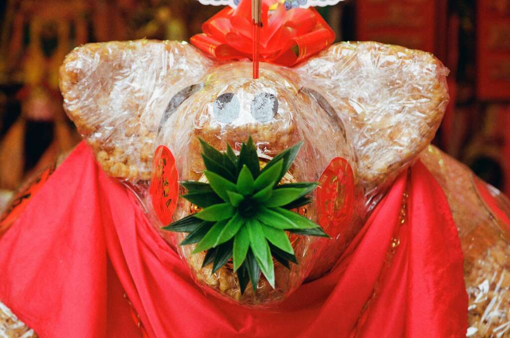 芝山巖惠濟宮 — —和瘟禳災祈安法會供品豬