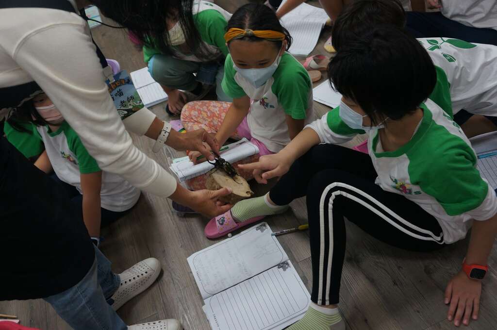 外來種與外來入侵種-110年度校園講座.JPG圖片來源：臺北市動物保護處)