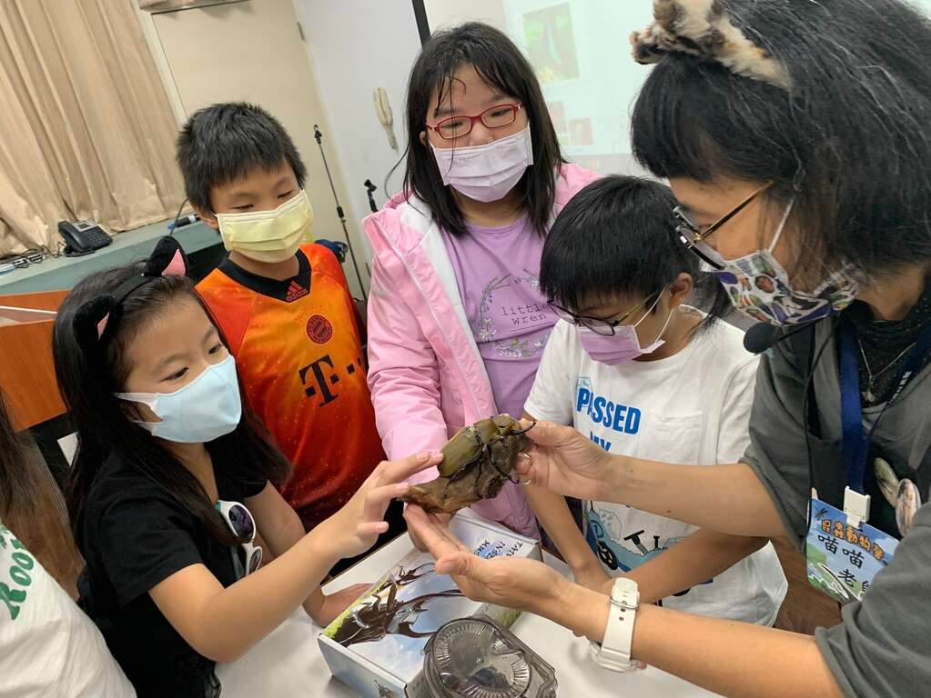 都市常見昆蟲及外來種動物-110年度校園講座圖片來源：臺北市動物保護處)