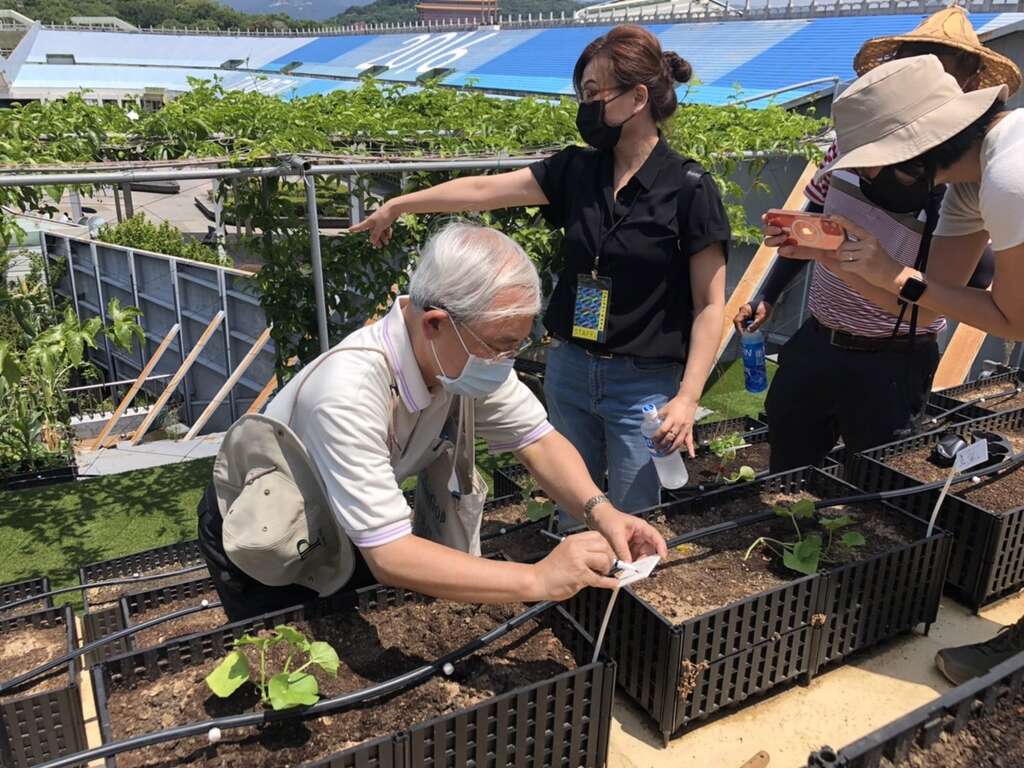 花博綠屋頂智慧農場(圖片來源：臺北市政府產業發展局)
