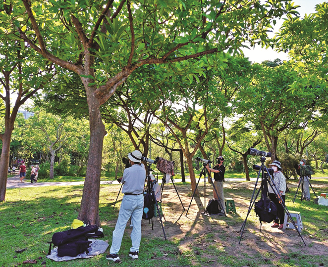 大安公園賞鳥-6 (Copy)