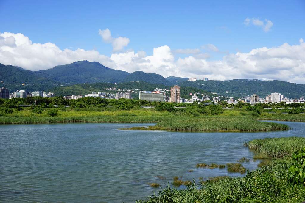 来一趟社子岛湿地，可轻易地享受生态观察的乐趣(图片来源：台北市政府工务局水利工程处)