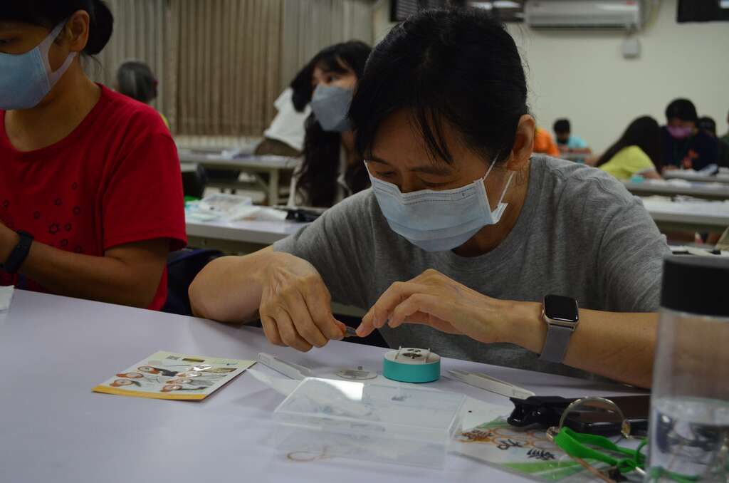 實體工作坊-蜜蜂解剖於9月21日開放報名.JPG(圖片來源：臺北市動物保護處)