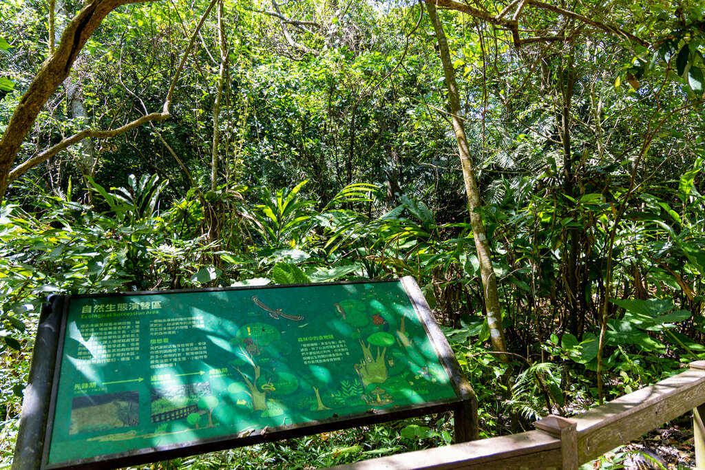 公园内的自然生态演替区(图片来源：台北市政府观光传播局)