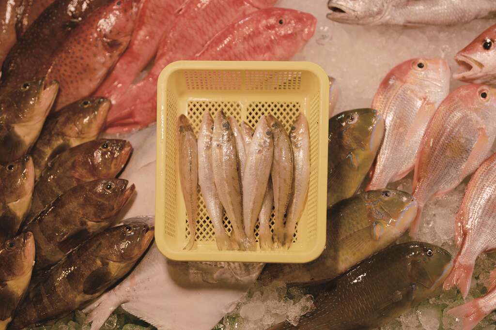 濱江市場可以採買到許多新鮮多樣的魚貨，可說是台北採買水產的寶庫。(攝影－彭柏璋)