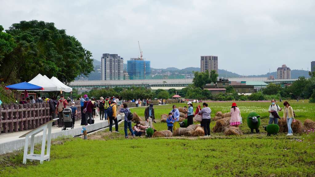 草皮羊与稻草卷是热门拍照点(图片来源：台北市政府工务局)