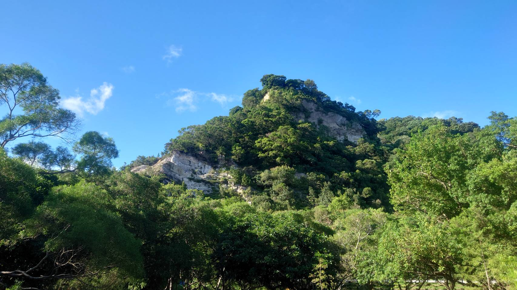 裸露的白土岩层，为历史刻下印记(图片来源：台北市政府工务局公园路灯工程管理处)