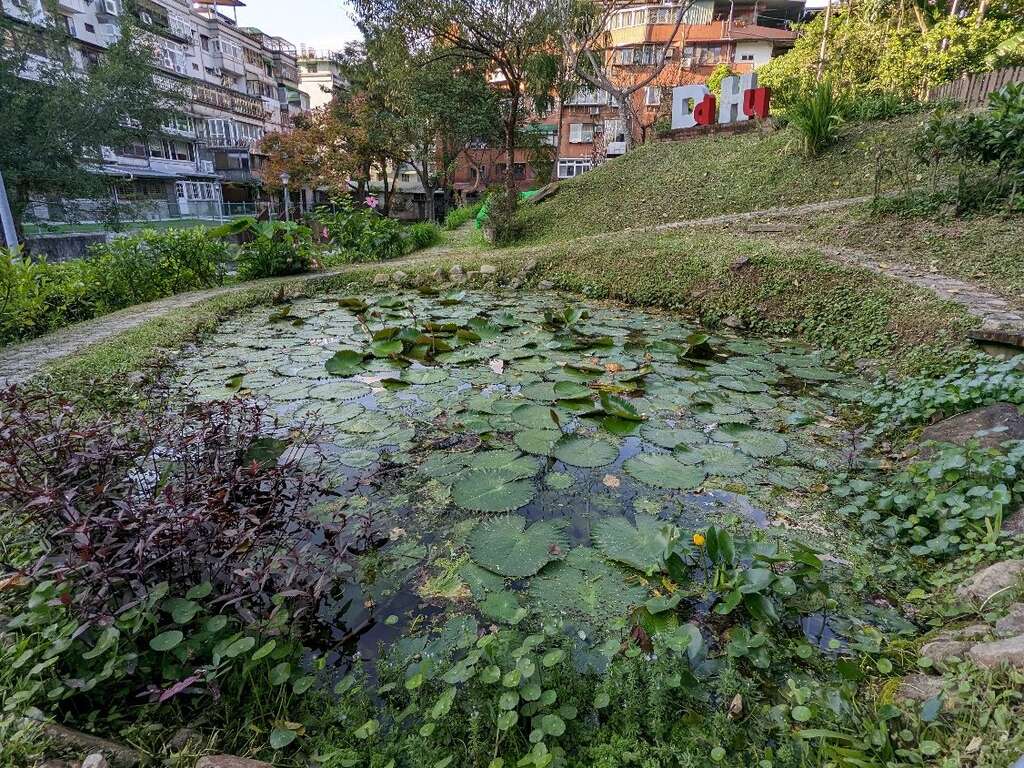 基地的生态池具有调节微气候功能(图片来源：台北市政府工务局公园路灯工程管理处)