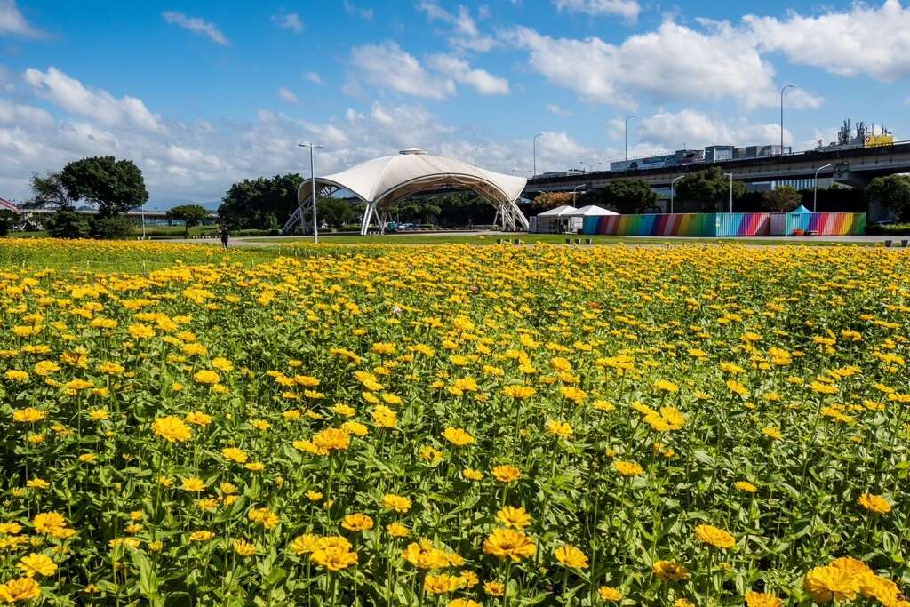 다자허빈공원 금빛 화하이(꽃축제) 성대한 개막