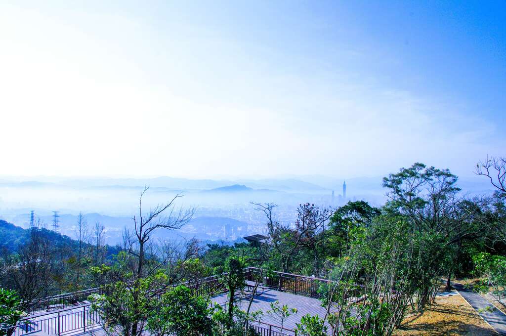 碧山露營場-南區營位(圖片來源：臺北市政府工務局大地工程處)