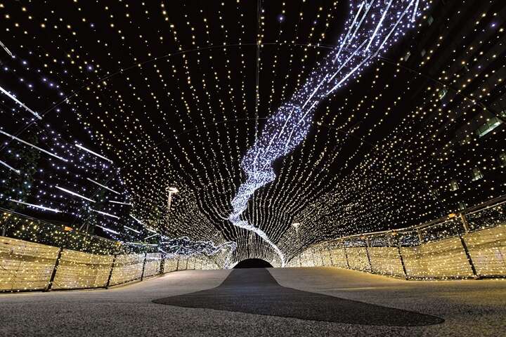 1101123_052_跨年燈飾_許宜容攝_中山線形公園 (Copy)