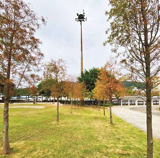 S__24272900 (Copy)