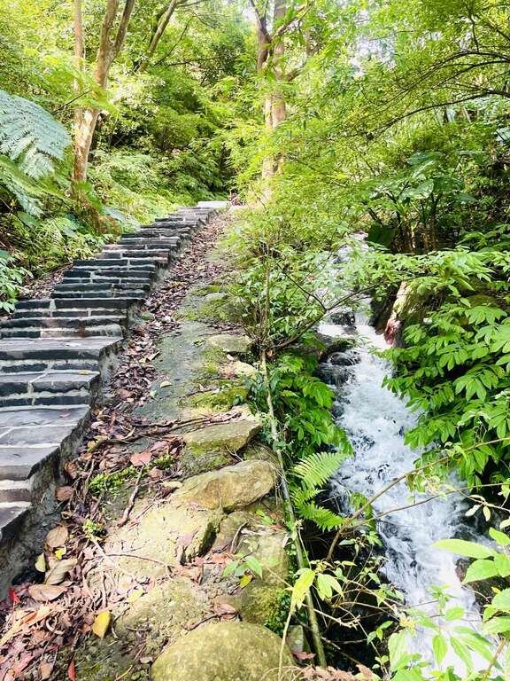 溪畔步道沿途潺潺流水(图片来源：台北市政府工务局大地工程处)