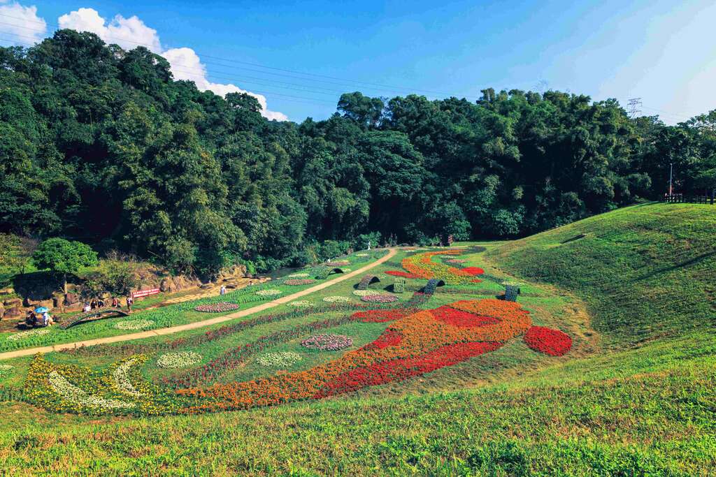 Flower Viewing During New Year’s Eve Holidays Dagouxi Riverside Park Sea of Flowers in Full Bloom