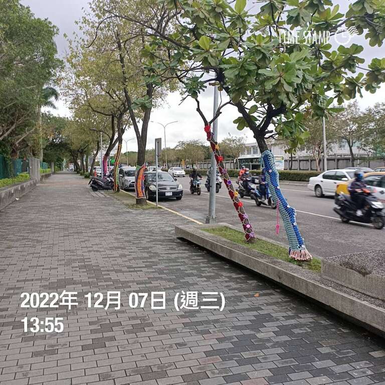 树衣於民权国小前行道树展示(图片来源：台北市政府工务局公园路灯工程管理处)