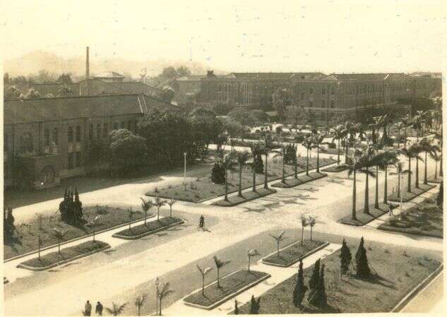 1950年代台大校园一景—椰林大道(图片来源：台北市立图书馆)