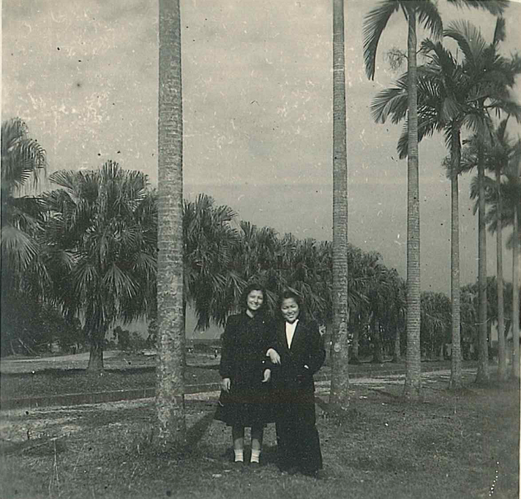 臺大校門前的成排椰子樹(圖片來源：臺北市立圖書館)