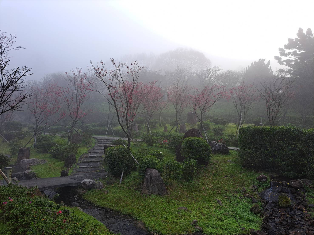 2023 阳明公园，薄雾下显得仙气飘飘(图片来源：台北市政府工务局公园路灯工程管理处)