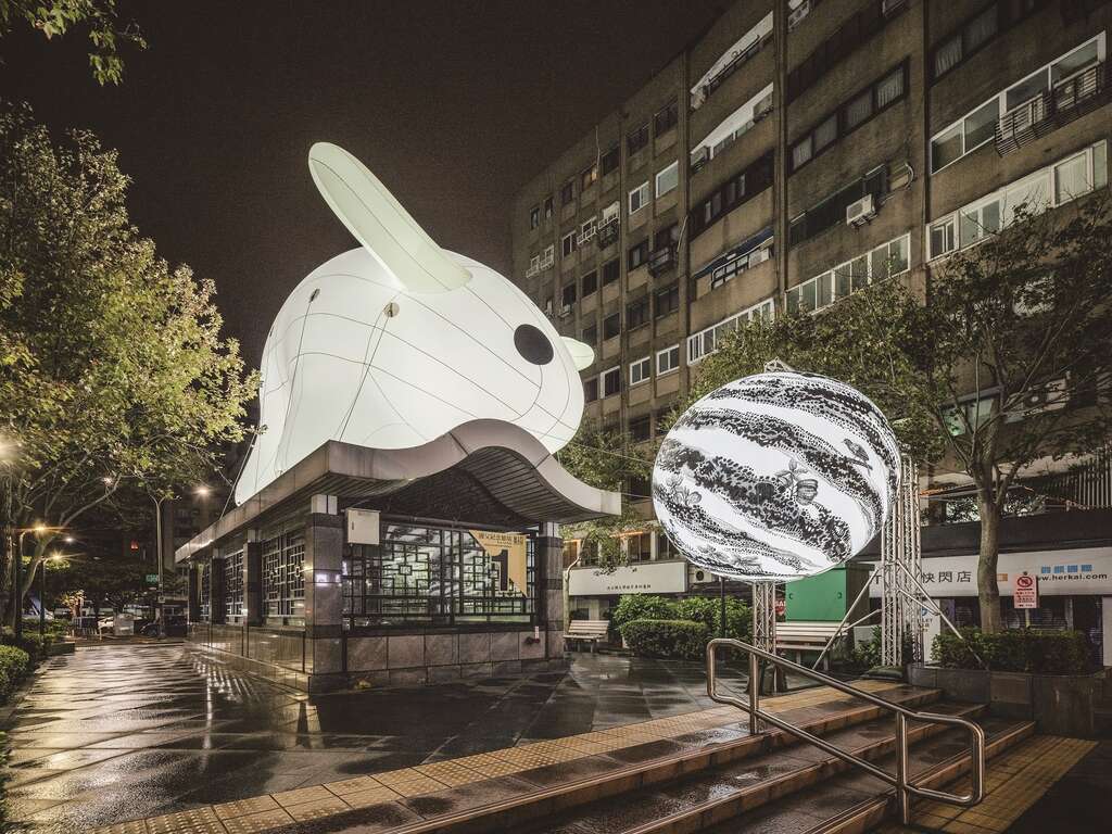 光兔現蹤。(攝影/林冠良)