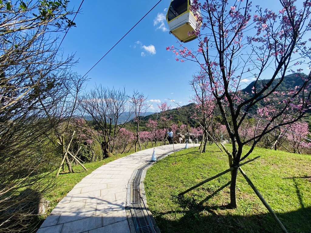 圖3.搭乘貓空纜車到指南風景區賞櫻
